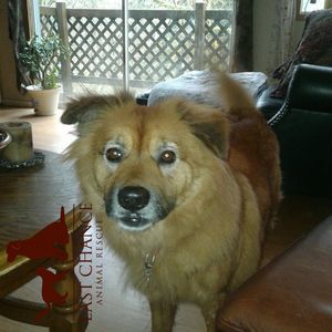 Meet your Posher, Leilani